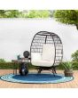 Sunjoy Metal Frame Swivel Egg Cuddle Chair with Cushions